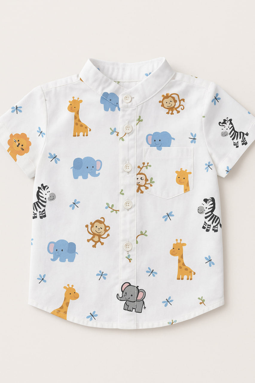 Ensemble Safari