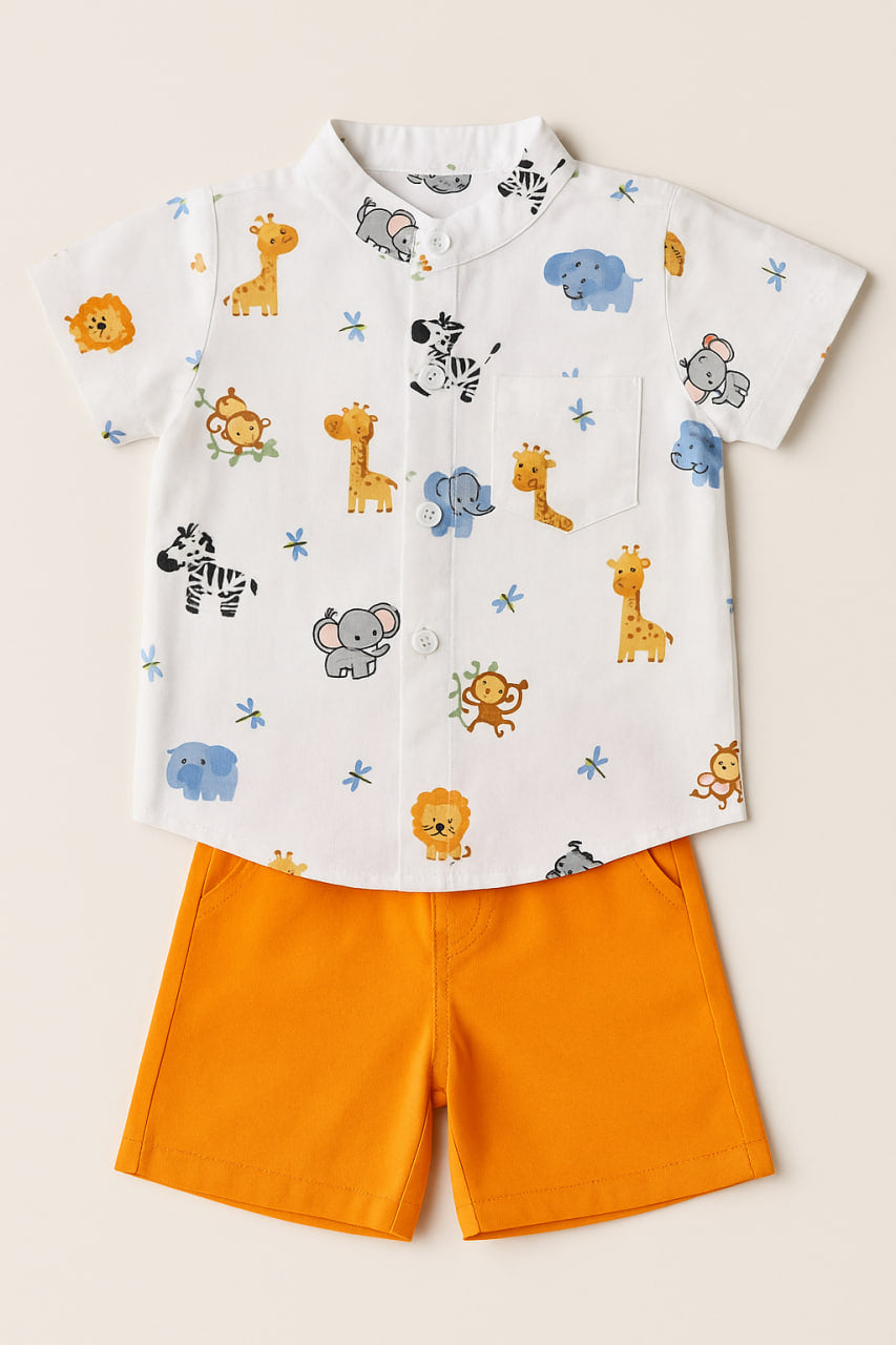 Ensemble Safari