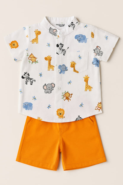 Ensemble Safari